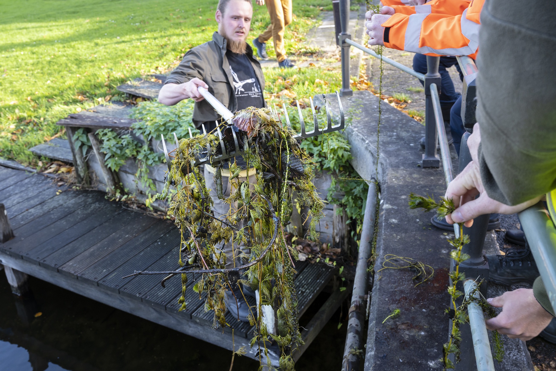 Groenbeheerder laat invasieve exoten zien aan groep mensen.