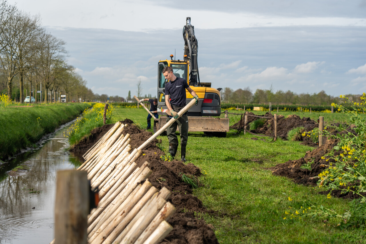 Een medewerker plaatst houten palen schuin tegen een oever langs een sloot, terwijl een graafmachine op de achtergrond klaarstaat. De omgeving is groen en landelijk, met bloeiende gele bloemen en bomen langs de weg. Het werk draagt bij aan natuurvriendelijke oeverbescherming of oeverherstel.