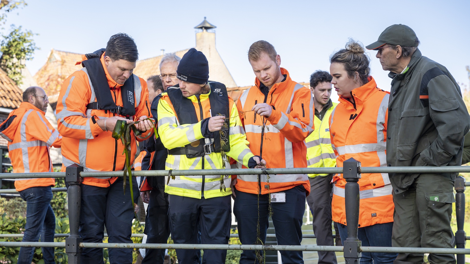Een groep mensen in werkkleding staat op een brug te kijken naar waterplanten die een persoon in zijn handen heeft