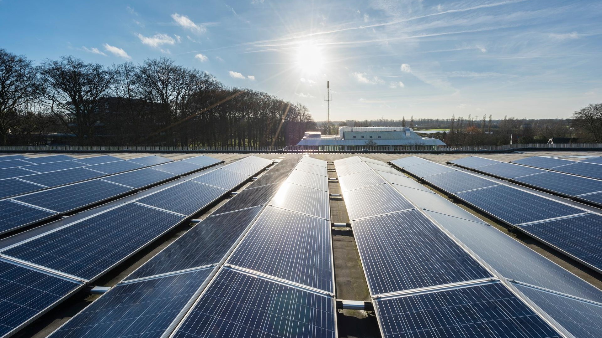 Een weiland met zonnepanelen