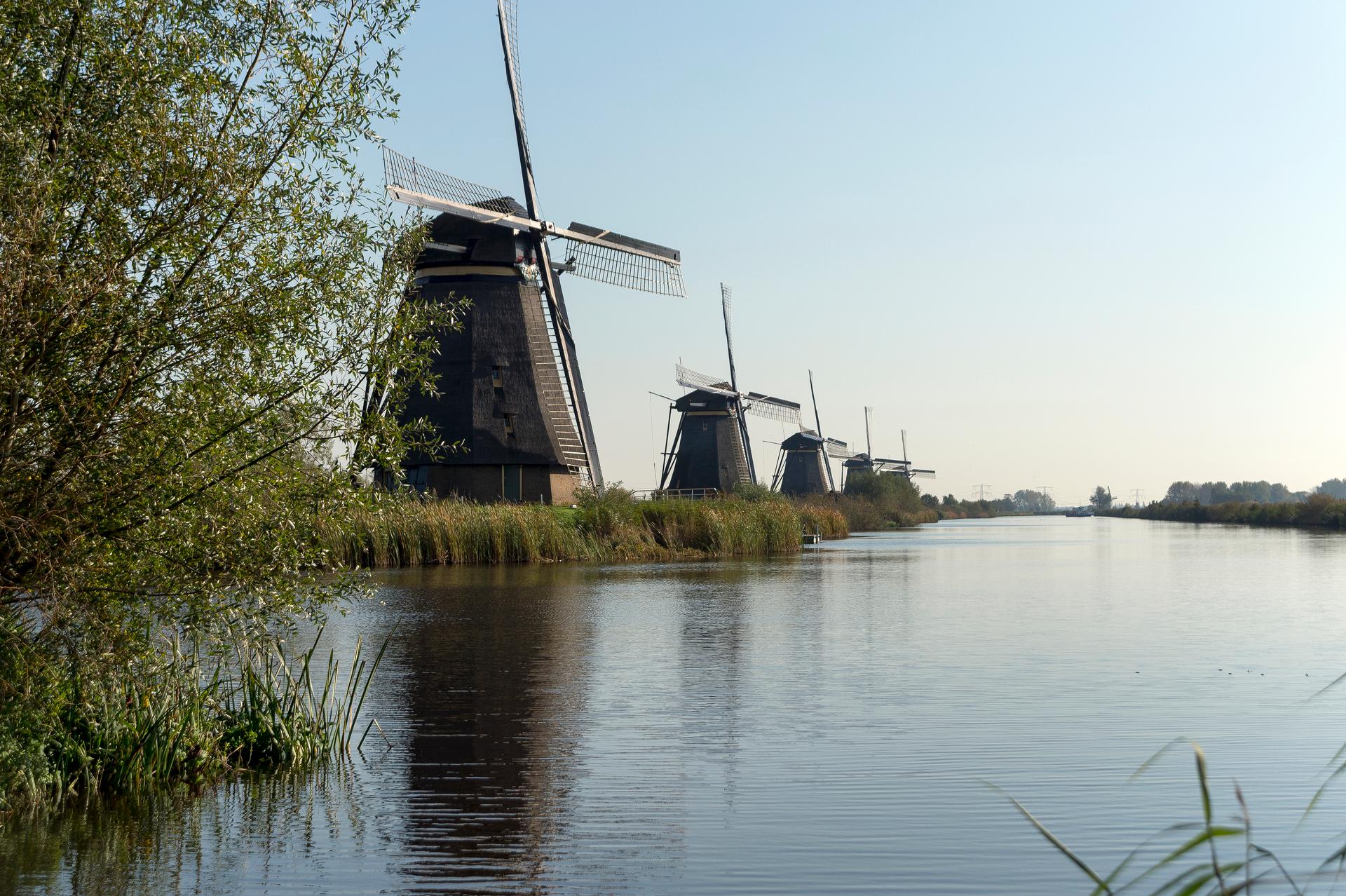 Molens aan het water bij de Kinderdijk